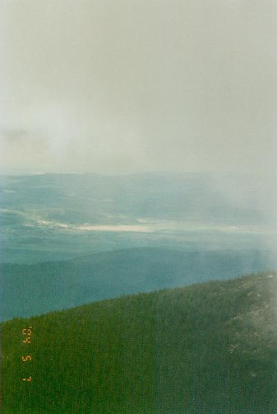 w11.jpg